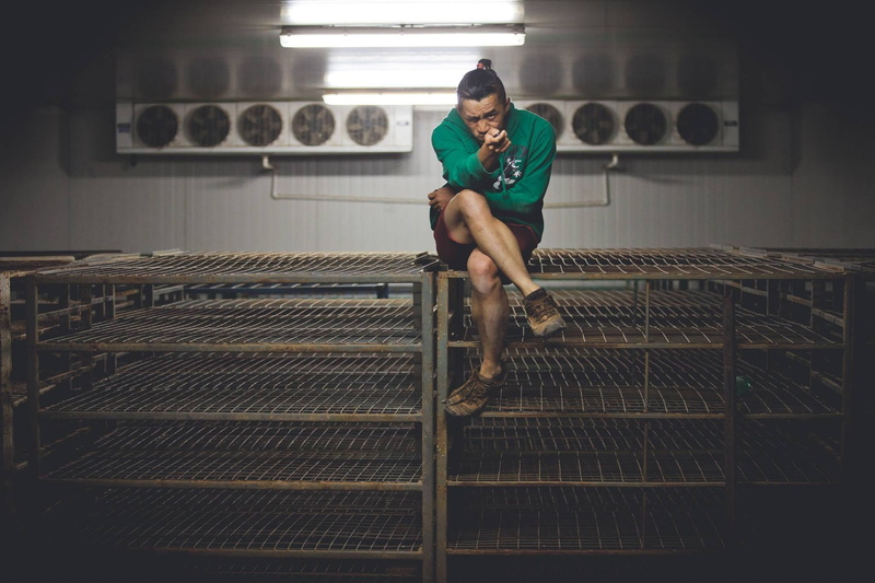 metal, day, architecture, 1080P, young adult, lifestyles, indoors, fans, full length, connection, casual clothing, myself, technology, sitting, people