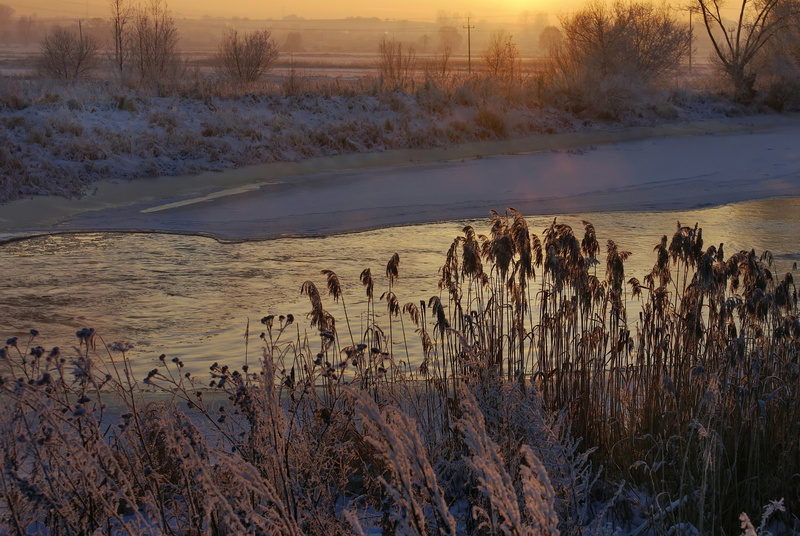 sky, no people, beauty in nature, winter holidays, dead plant, tranquil scene, landscape, sunset, cold temperature, seasons of the year, outdoors, nature