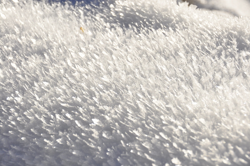 white, selective focus, Frost, backgrounds, hard rime, white color, frozen, 4K, nature, cold, full frame, macro, indoors, textured, biel, pattern, zers