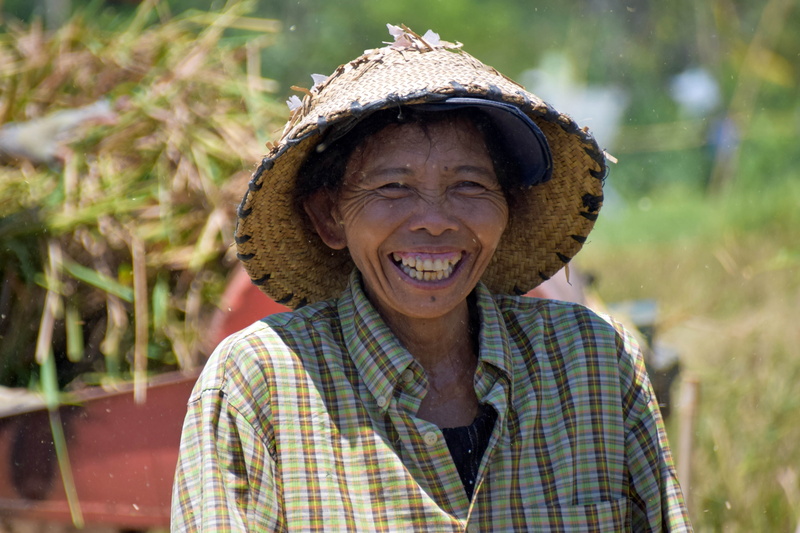 real people, 5K, rice fields, hairstyle, day, one person, indonesia, clothing, bali, looking at camera, senior adult, focus on foreground, emotion, cheerful