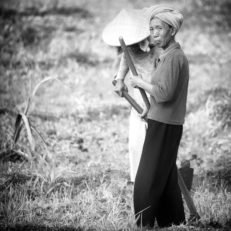plant, clothing, nature, day, field, standing, outdoors, casual clothing, holding, 1080P, agriculture, bauer, farmer, real people, hat, lifestyles, bali