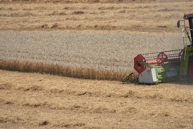 day, 5K, growth, farm, agricultural machine, landscape, agricultural equipment, rural, machinery, outdoors, no people, combine harvester, plant, rural scene