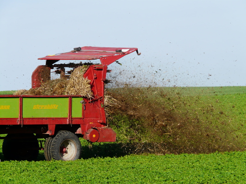 red, tractor, distribution, ground, mode of transportation, inject, rural scene, agricultural machinery, plant, bauer, squirting, animal, outdoors, crushing