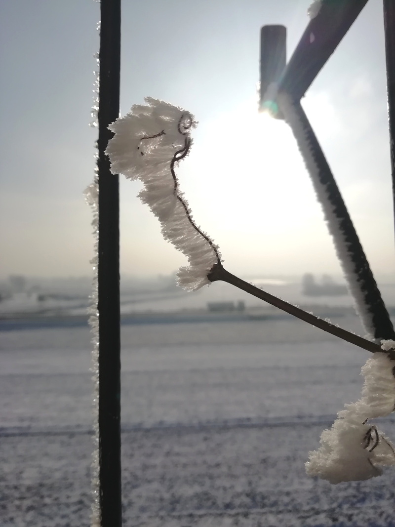 land, frost, cold, zers, water, cold temperature, nature, outdoors, winter, sky, 4K, pollution, frozen, february, snow, close-up, sunlight, focus on foreground