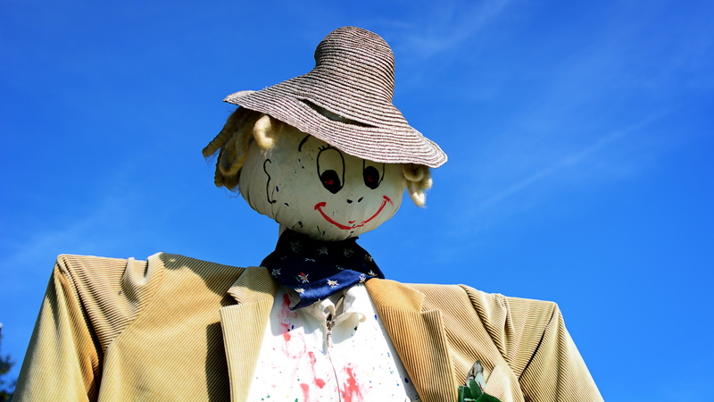 hat, blue, bird control, pests, nature, scarecrow, day, portrait, outdoors, obscured face, field, sky, figure, business, silhouette, adult, unrecognizable person