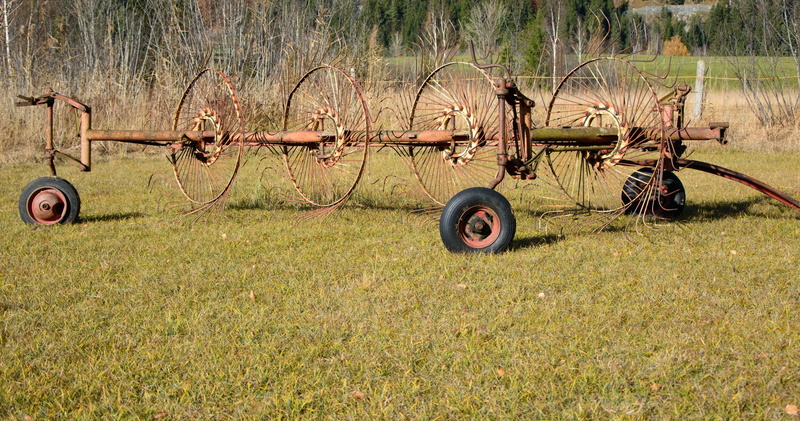 machinery, mode of transportation, commercial vehicle, meadow, fieldwork, faceplate, wagon wheel, tree, land vehicle, outdoors, wheel, field, abandoned