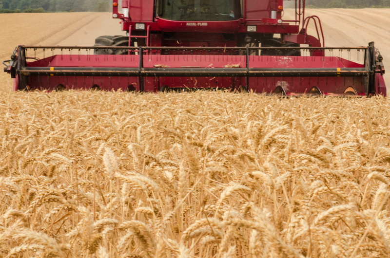 no people, crop, fieldwork, outdoors, agriculture, land, landscape, growth, farm, harvesting, rural, day, harvester, agricultural machinery, summer, rural scene