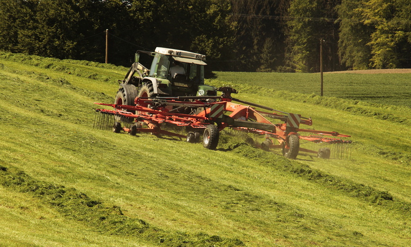 land vehicle, field economics, agricultural machine, 5K, series meet, meadow, environment, tree, transportation, rural, hay, grass, field, grass surface
