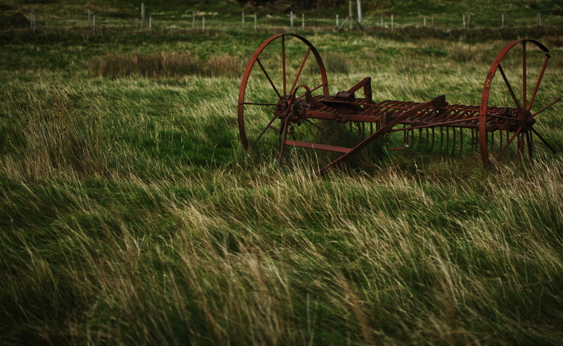 rusty, technology, rust, field, nature, mode of transportation, machine, growth, forget, 4K, day, arable, agricultural, obsolete, meadow, device, loosen