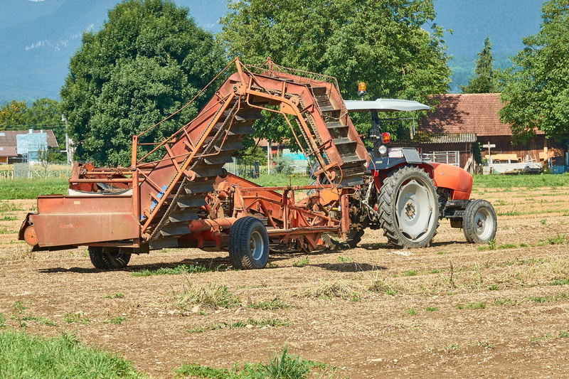 oldtimer, agricultural equipment, abandoned, field, land vehicle, landtechnik, wheels, sky, machinery, transportation, tractor, nature, cattle feed, sunlight