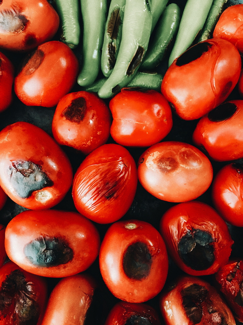 indoors, vegetable, pepper, red, backgrounds, wellbeing, still life, high angle view, jitomate, holatania, morelia, no people, large group of objects, healthy eating