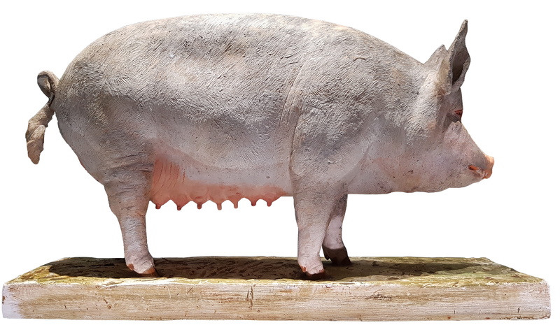 no people, close-up, livestock, 2K, side view, animal representation, agriculture, wood - material, vertebrate, pig, animal themes, sow, animal wildlife