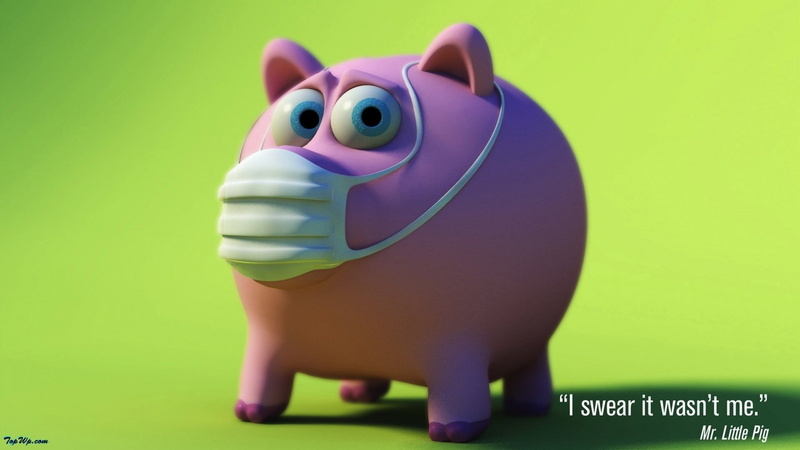 animals, eye, funny, swine, 1080P, birds, love