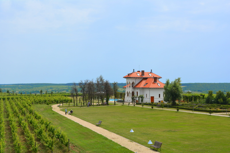 rural scene, Mansion, vineyard, View, isolated, Cloudy, residential district, environment, land, nature, viticultural, hill, holidays, trees, plant, 5K
