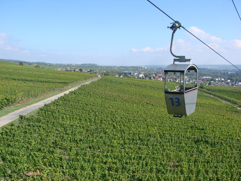 2K, river, growth, vintage, day, scenics - nature, grass, vineyards, green color, grapevines, sky, beauty in nature, land, cable car, rural scene, farm