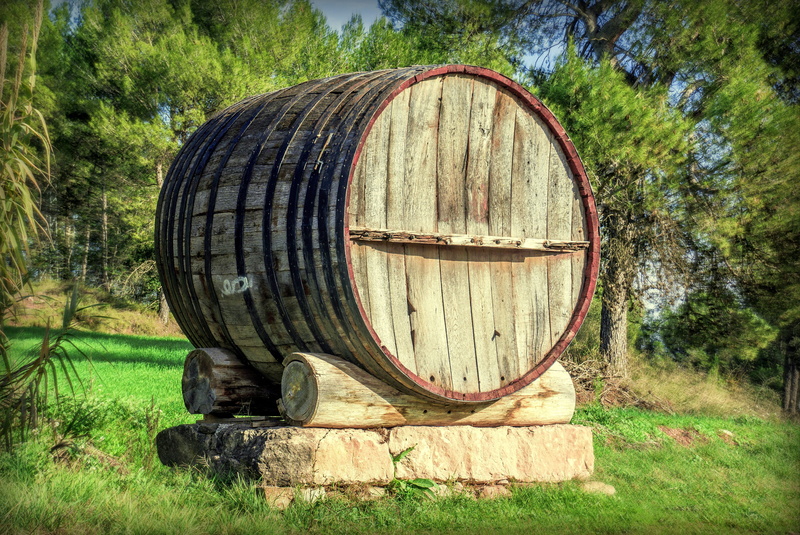 cylinder, nature, field, tina, wine cellar, old, travel, perspective, day, winemaking, monument, wood - material, wine cask, 4K, cellar, viticulture, structure