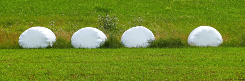 agriculture, lawn, land, films, gärfutter feed, grassland, wrapped up, nature, rural scene, lush foliage, bale, preserved, lactic acid fermentation, packed