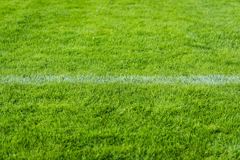 meadow, nature, grass area, outdoors, fill, plant, full frame, day, growth, environment, soccer, photography, grass, playing field, soccer field, rush