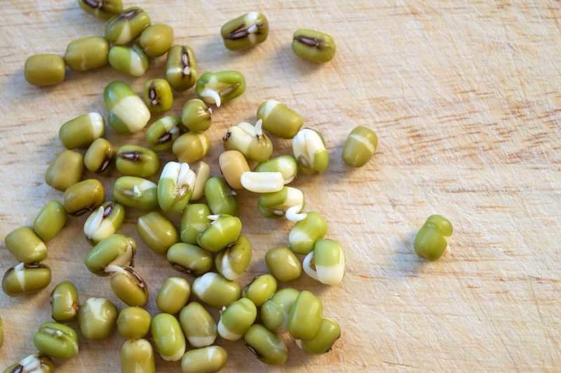 table, Sprouts, raw food, Golden Gram, wood - material, high angle view, closeup, handful, organic, golden gram sprouts, green color, useful, placer, 1080P
