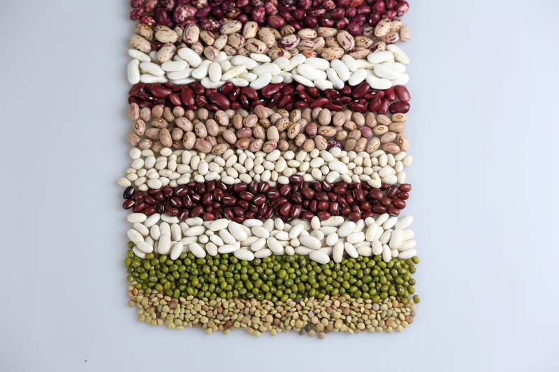 large group of objects, kidney beans, cut out, no people, white background, chick-pea, beans, food, still life, freshness, healthy eating, raw food, legume family