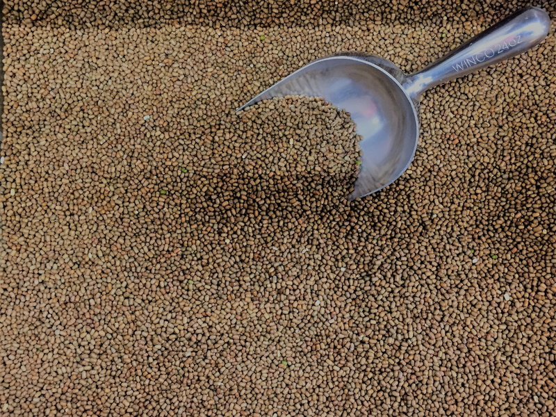 dairy product, backgrounds, freshness, eating utensil, uncooked, indoors, ingredient, moth, no people, legume, spoon, lentil, dry, kitchen utensil, full frame