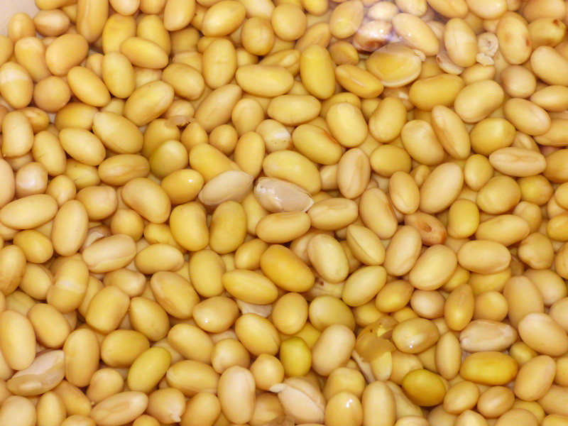 bean, food and drink, Beans, indoors, healthy eating, lot, market, Vegetables, close-up, legume family, backgrounds, Yellow, still life, 4K, high angle view