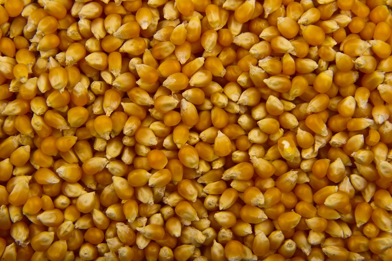 popcorn, healthy Eating, brown, no people, food, still life, eating, food and drink, high angle view, 4K, large group of objects, vegetable, nature, indoors
