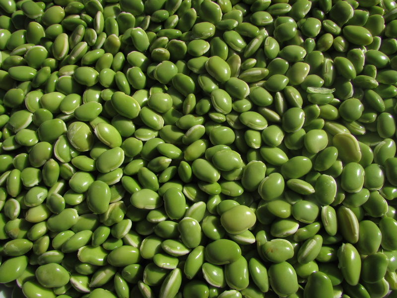 4K, close-up, untitled, pulse, edible, india, legume family, green color, seed, food, vegetarian food, directly above, large group of objects, green pea