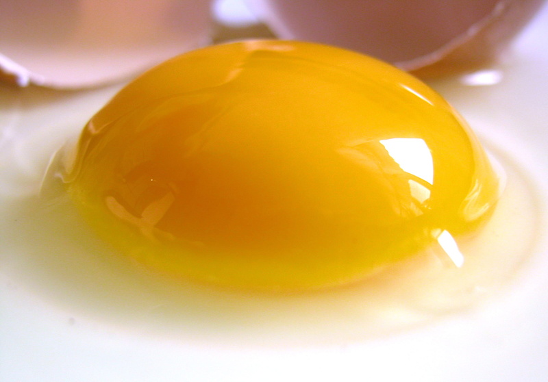 indoors, natural, close-up, raw food, chicken, raw, ingredient, food and drink, sunny, selective focus, white, people, yellow, side, wellbeing, single object