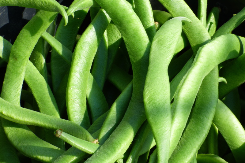 backgrounds, no people, close-up, leaf, closeup, peas, view, plant part, food, vegetarian, healthy, beans, nature, vegetable, beauty in nature, full frame
