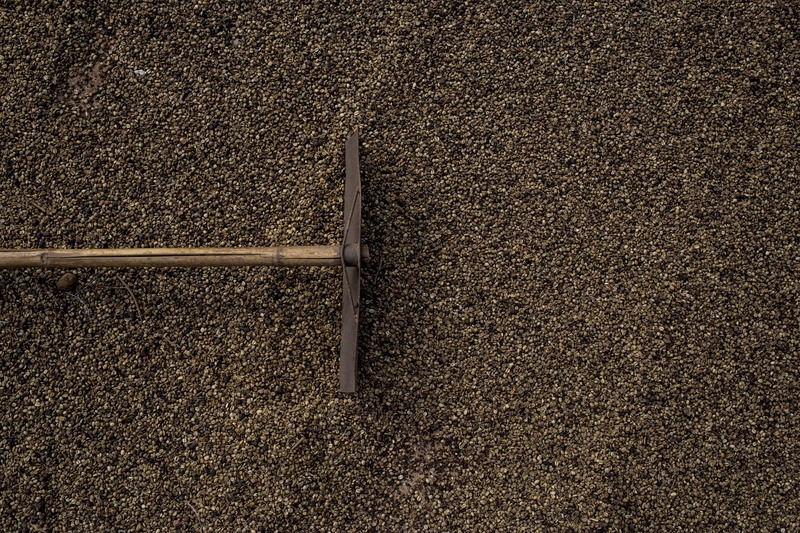 work tool, nature, night, road, Farm, land, equipment, day, 1080P, sand, Roça, sunlight, Coffee, field, Harvest, textured, close-up, high angle view, coffee roaster