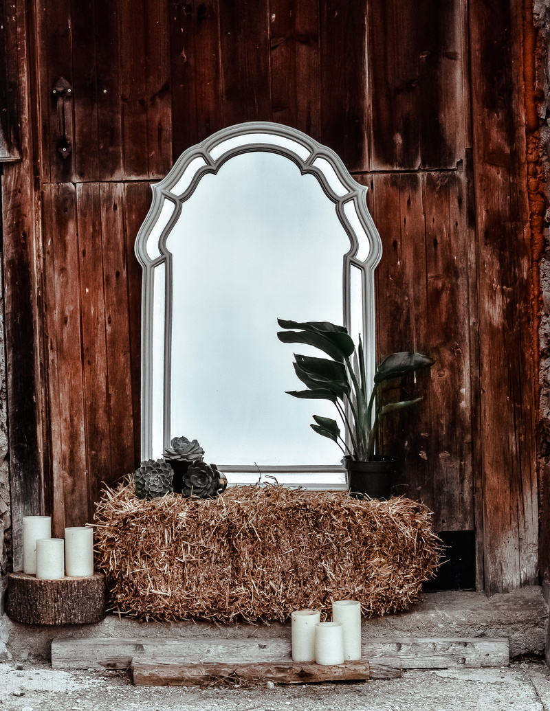 potted plant, nature, glass - material, door, leaf, candles, built structure, pillar, beside, beveled, container, plant, framed, animal, mirror, day, window