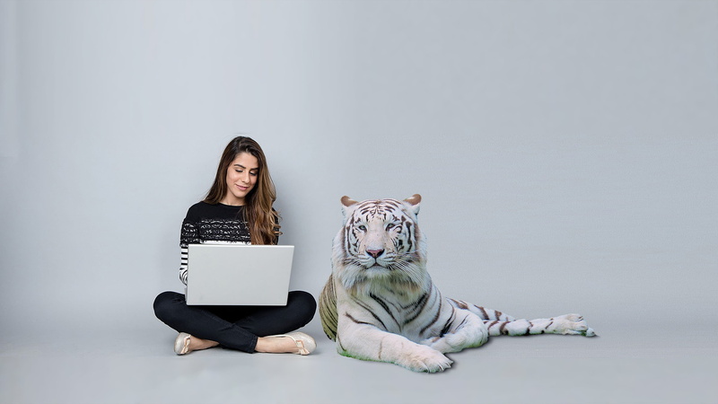 studio shot, the computer, hair, do the job, mammal, gray background, one person, long hair, looking at camera, full length, 2K, adult, hairstyle, using laptop