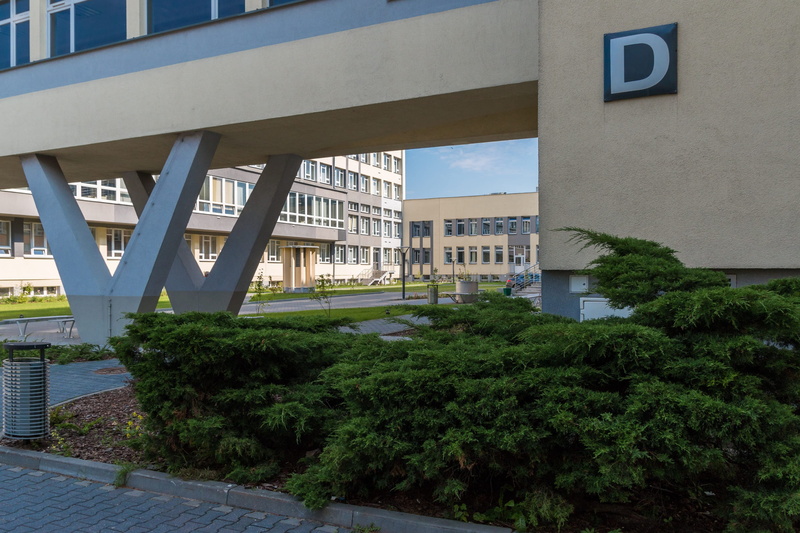 outdoors, no people, tree, nature, window, architecture, office buildings, the university, built structure, bridge - man made structure, building and construction