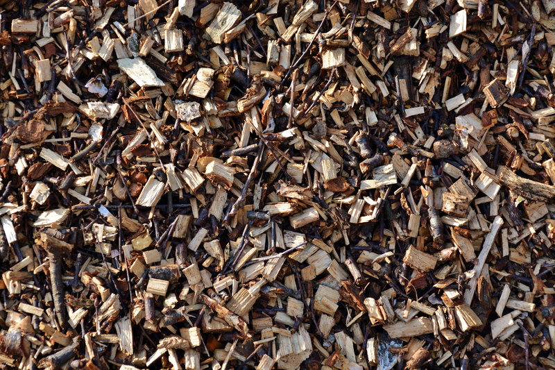 high angle view, large group of animals, insect, animal, backgrounds, industry, large group of objects, brown, close-up, shavings, day, directly above