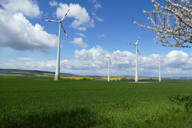 rural scene, green color, technology, electricity, 5K, grass, environmental conservation, sunbeam, fuel and power generation, outdoors, Wind Power, environment