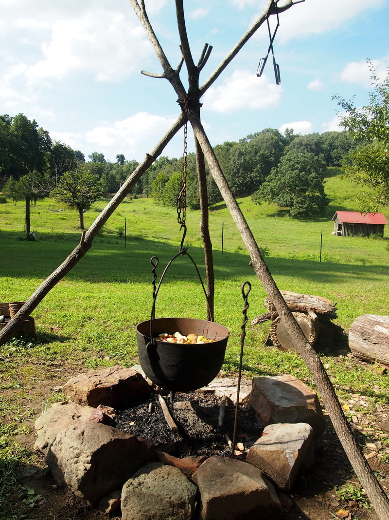 beauty in nature, camping, Fire, hanging, Firewood, land, bonfire, heat, metal, sky, green color, camp, rural, pot, growth, water, tree, Nature, cooking