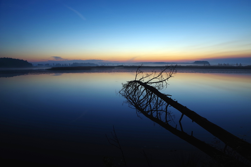 clear sky, tranquility, outdoors, scenics - nature, lake, tranquil scene, beauty in nature, idyllic, plant, nature, dawn, reflection, landscape, the nature reserve