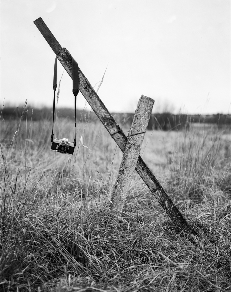 focus on foreground, tranquility, rural scene, old, 5.6, nature, plant, fomapan, 4x5, schneider, x, wood - material, cambo, monorail, symmar, abandoned