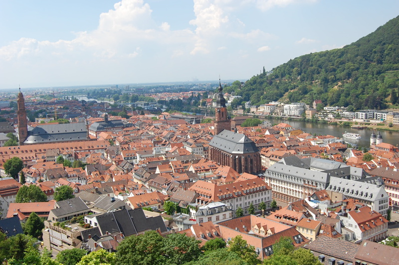 tree, crowded, building exterior, plant, building, roof, high angle view, sky, steeple, church, nature, day, city, historical city, heidelberg, architecture