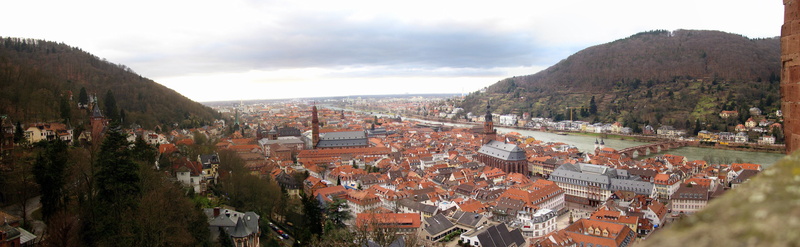 high angle view, old town, panorama, neckar, day, no people, plant, germany, sky, river, cityscape, town, outdoors, castle, residential district, 5K, famous