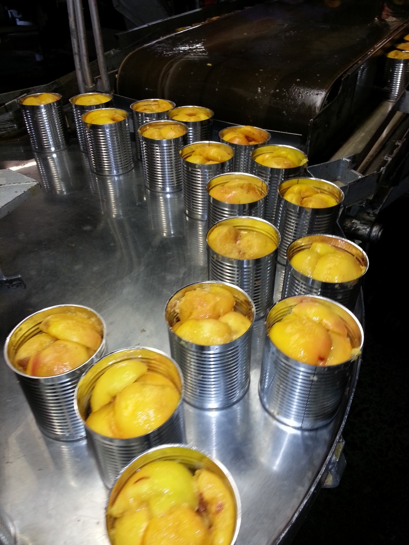 food, container, fuzz, commercial, canned, high angle view, slice, fruit, canned fruit, household equipment, close-up, stainless, gray, canning, citrus fruit