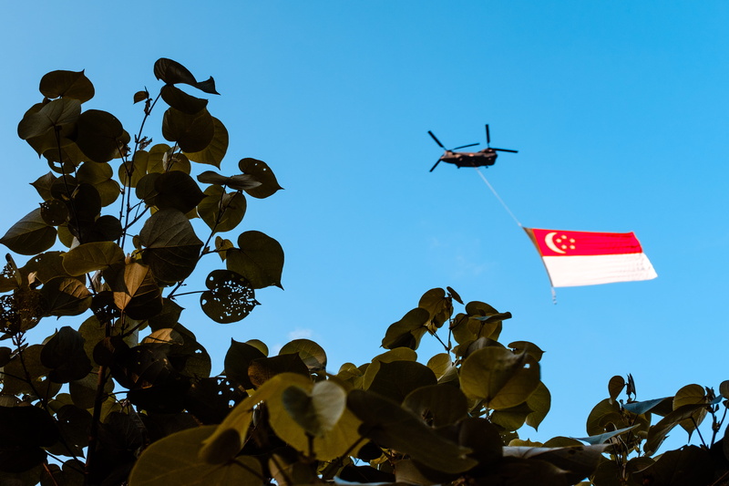 flag, crowd, nature, flying, group of people, outdoors, environment, blue, banner, red, sky, day, motion, violence, low angle view, organized group, large group of people