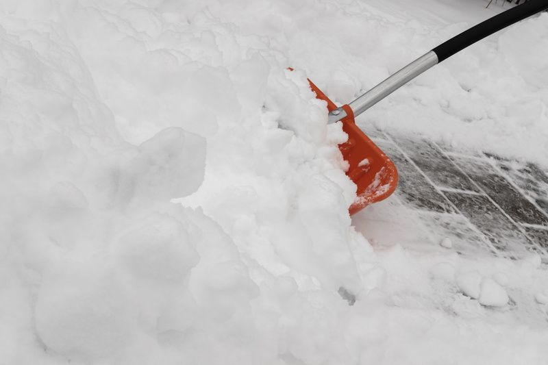 day, beauty in nature, sidewalk, high angle view, nature, no people, frozen, cold temperature, blade, covering, outdoors, snow and chipping, ice, land