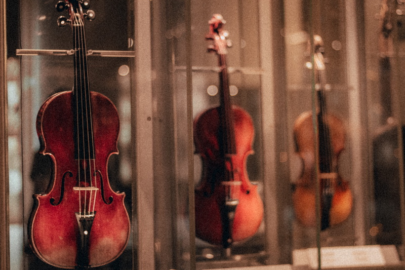 no people, bow - musical equipment, arts culture and entertainment, string instrument, music, double bass, retail, close-up, indoors, hanging, musical instrument string