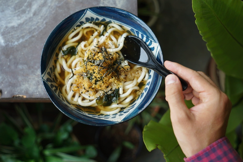 bio, high angle view, vegan, 2K, lunch, bless you, eat, feed, wellbeing, Noodles, penang, holding, frisch, Udon, one person, healthy, meal, enjoy, japanese