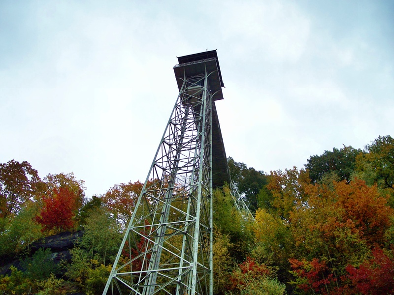 tree, no people, plant, architecture, technology, autumn, low angle view, connection, built structure, ostrava, bad schandau, green color, sky, land, outdoors
