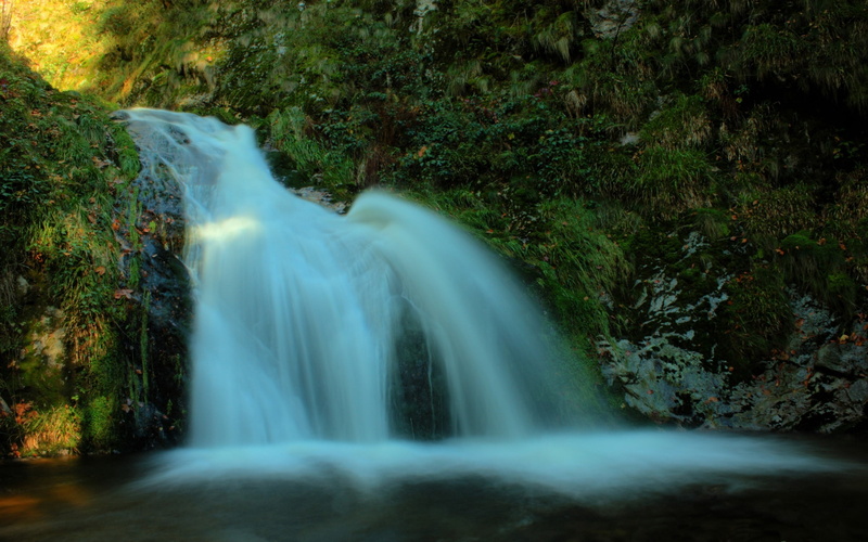 rapid, scenics - nature, forest, flowing, scenics, power in nature, woodland, environment, rock, day, color Image, land, moss, river, rock - Object, waterfalls