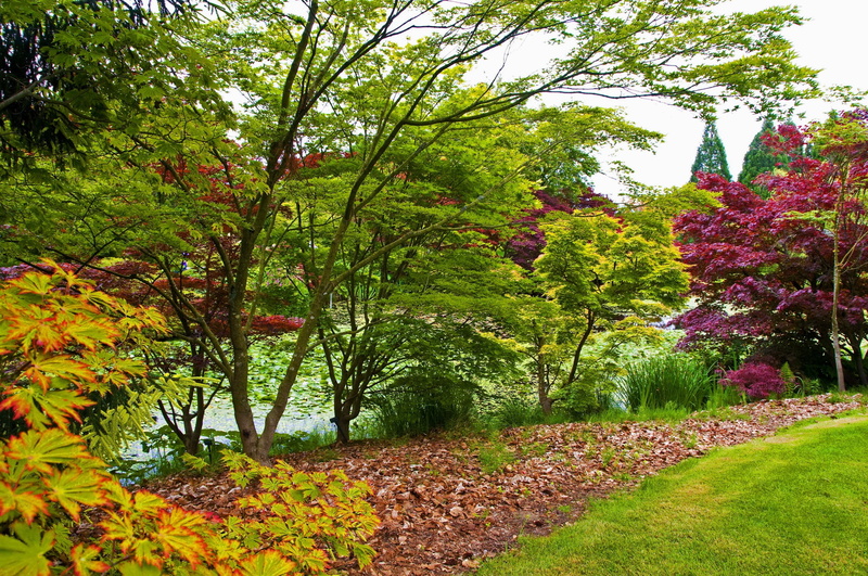 flowerbed, summer, ornamental Garden, multi Colored, young growth, change, trees, tranquility, season, leafed, tranquil scene, rural Scene, scenics - nature