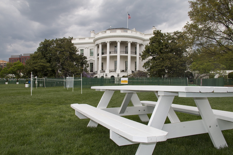 dc, day, green color, washington dc, white house, outdoors, cloud - sky, building exterior, plant, architectural column, lawn, travel destinations, architecture